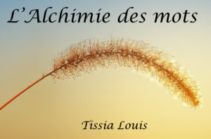 L'alchimie des mots Tissia Louis